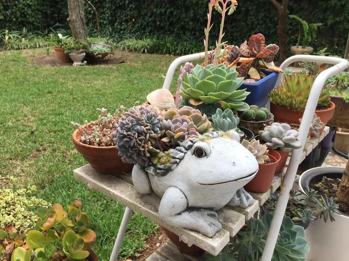 Vakantiehuis Lei Home Cascais