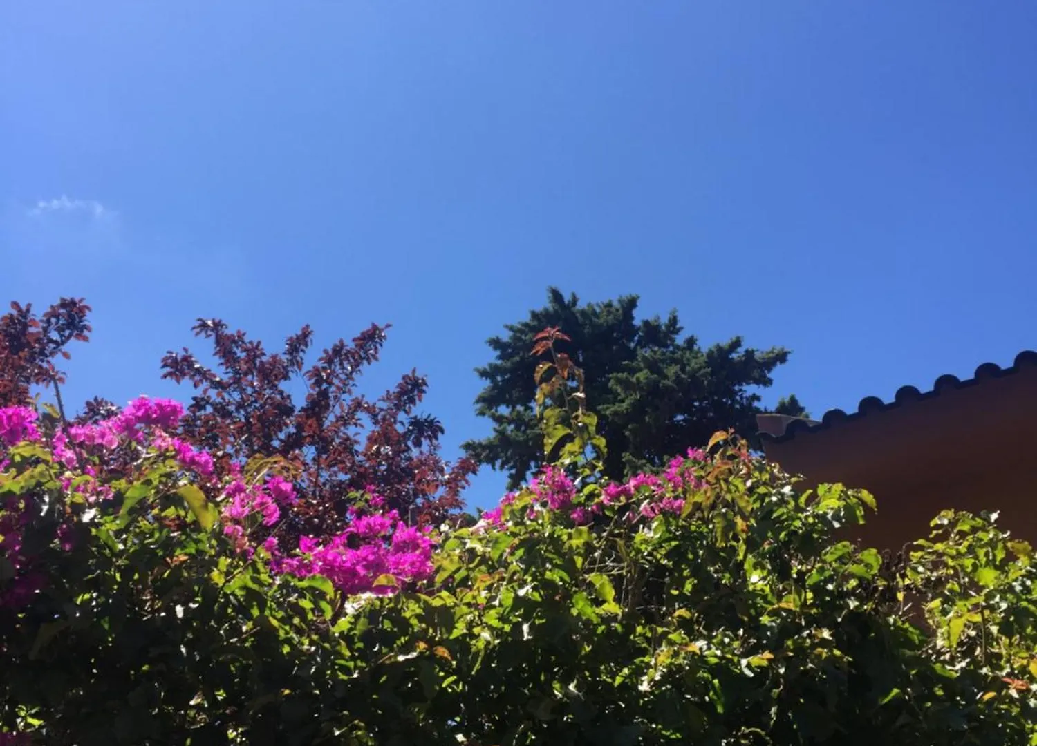 Lei Home Cascais Vakantiehuis